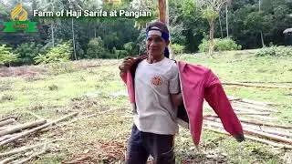 Sarifa Farm: Day- 10 | Weeding