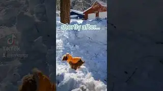 The very first time in the snow