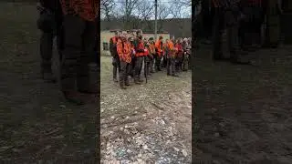 #охота #hunting #boar #охотанакабана#загоннаяохота