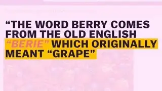VOX Highlighted Text - 60 second tutorial - 