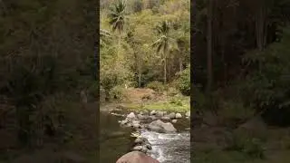 Take a moment to pause and see beauty amidst chaos. #nature #river