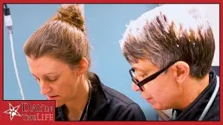 DANCE PARTY! | Day in the Life | Episode 1 | All-Star Veterinary Clinic