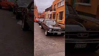 Mustang Lovers _mustangmagazine _mustang67hardtop #trending #chromeaccessories #ytshorts #shorts
