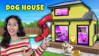 I Built a DREAM DOG HOUSE | India's Biggest Dog House