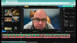 Kapwing Green Screen Tutorial