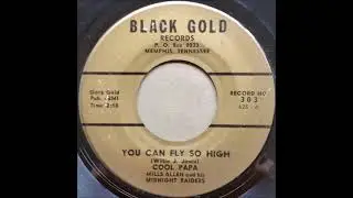 Mills Allen & His Midnight Raiders - You Can Fly So High 1964