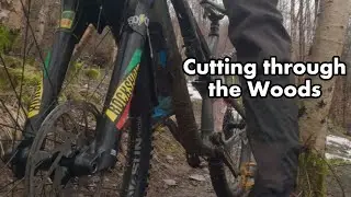 Cutting through the Woods