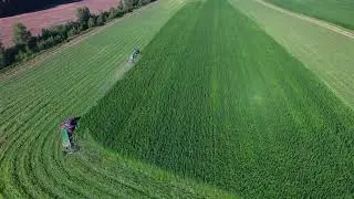 KP-4 Fiber hemp cutter / harvester / harvest 2020, Laumetris (Pluoštinių kanapių pjaunamoji)