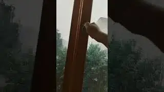 дождик