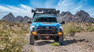 Traversing the Sonoran Desert