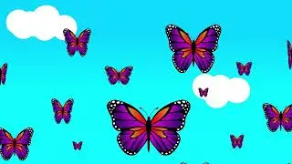 BUTTERFLY  ANIMATION