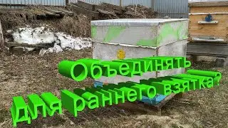 Профессор Кашковский про получение раннего весеннего взятка