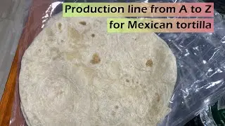 Fully automatic 8 inches flour tortilla production line, from A to Z.[QL Machinery]