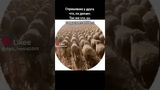 Нас 25 тысяч и мы идем разбираться..