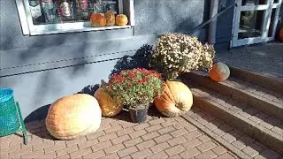 Октябрьские зарисовки