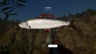 RF4 - [Belaya River] When They Aren't Biting (2.28.2024)