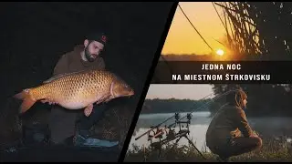 Jedna noc na miestnom štrkovisku 😍🐬Lov kapra na presný odhod🐋🎣