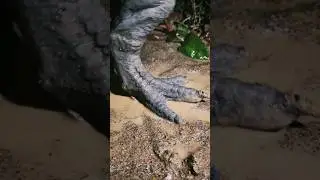 Jurassic Park 2024 #specialeffects #trex #edit