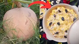 Doude Alle Kashmiri Pumpkin recipe | Creamy Pumpkin