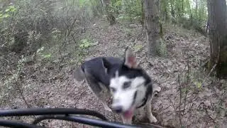 Поездочка