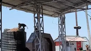 Monkey Playing at Vaishno devi