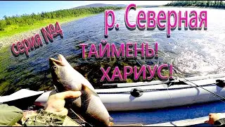 Fishing on the Severnaya River! CRAZY GRAYLING FISHING!!! Episode #4