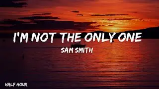 Sam Smith - I'm Not The Only One (Lyrics)