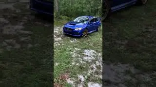 Rally car for the road 