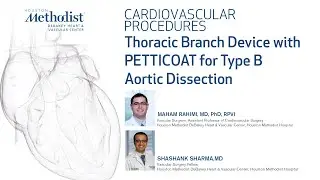Thoracic Branch Device with PETTICOAT for Type B Aortic Dissection