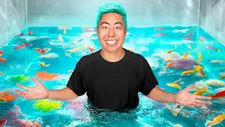 Best Fish Tank Wins $5,000! ft. Aquarium Info