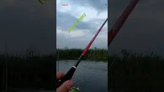 #shorts ПРИКОЛЬНО. ЩУЧКА НА ПОППЕР. Itumo Popsy