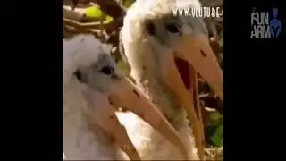 Свежие продукты из Пятерочки...