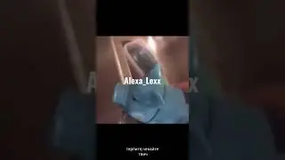 мем прикол Кизару бравл. Twitch - Alexa_Lexx