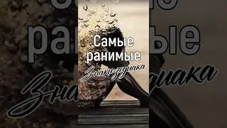 Самые ранимые знаки зодиака 😿