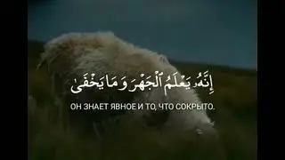 Сура 87: Аль-А'ля (Всевышний).Чтец: Салим Баханан.