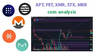 Анализ монет APT FET XMR STX MKR