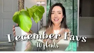 PLANT Favorites 2021 | December Favs | My TOP 10 PLANTS I've been loving!