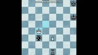 #chess is fun