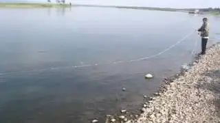 Как ловят сетью на КАРАБЛИК!