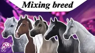 『StarStableOnline』~ Your Mixed Breed Ideas pt. 1