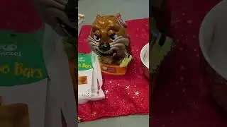 Mango Bars for maddog #ASMR #satisfying sounds #viral dog #shorts (3)