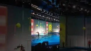 представление в дельфинарии#екатеринбург #2024