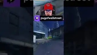 Kiras ˝Laser˝ | pugofwallstreet on #Twitch