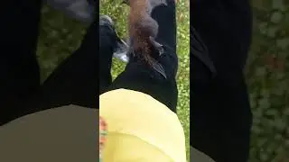 Я В ШОКЕ!