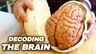 Secrets Of The Human Brain. A Journey Into the Unknown