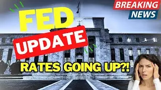 Fed Update - What They're Doing