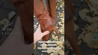 3. Walking in brown winter highheels #heels #feet #legs #walk #highheels  #boots #brownshoes #4fun