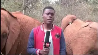 Reporter Gets Interrupted #shorts