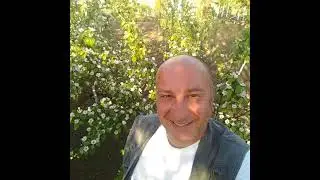 ХАЙРИ Мусаев в прямом эфире!   Штукатурка квартир !  Штукатурка Равилиан!
