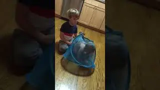 Maxim plays with Nick